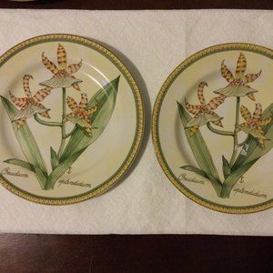 Set of 2 American Atelier Botanical Salad dessert plate stoneware floral orchid